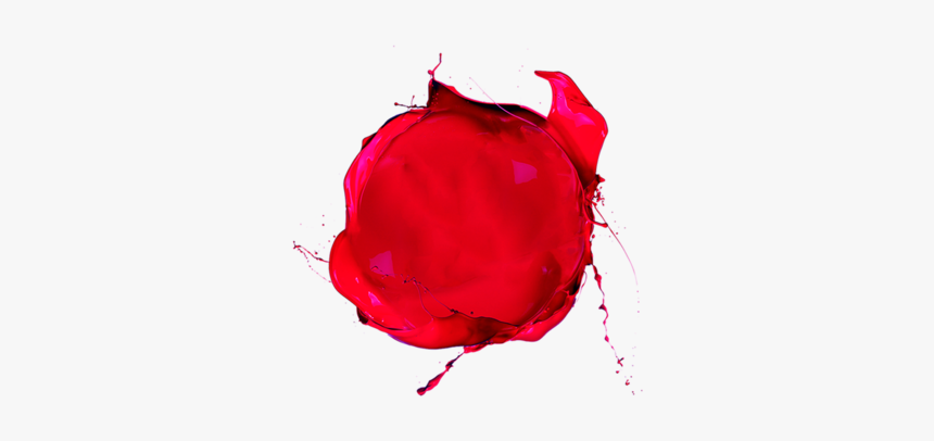 Leones Del Escogido, HD Png Download