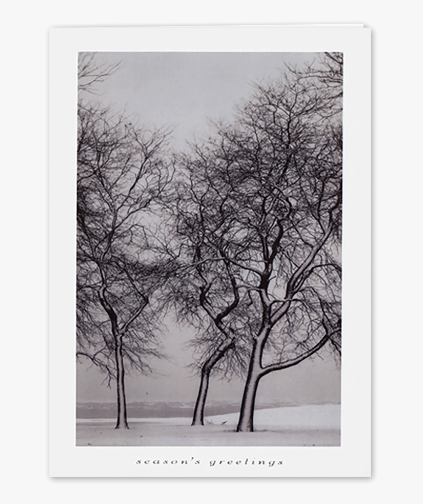 Picture Of Snow Blown Trees Greeting Card, HD Png Download