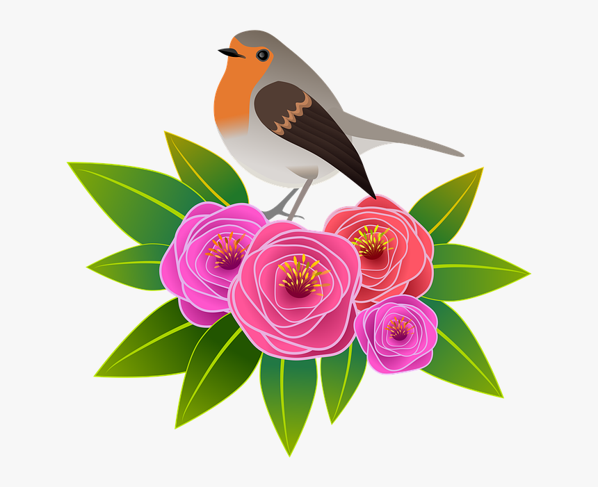 European Robin, HD Png Download