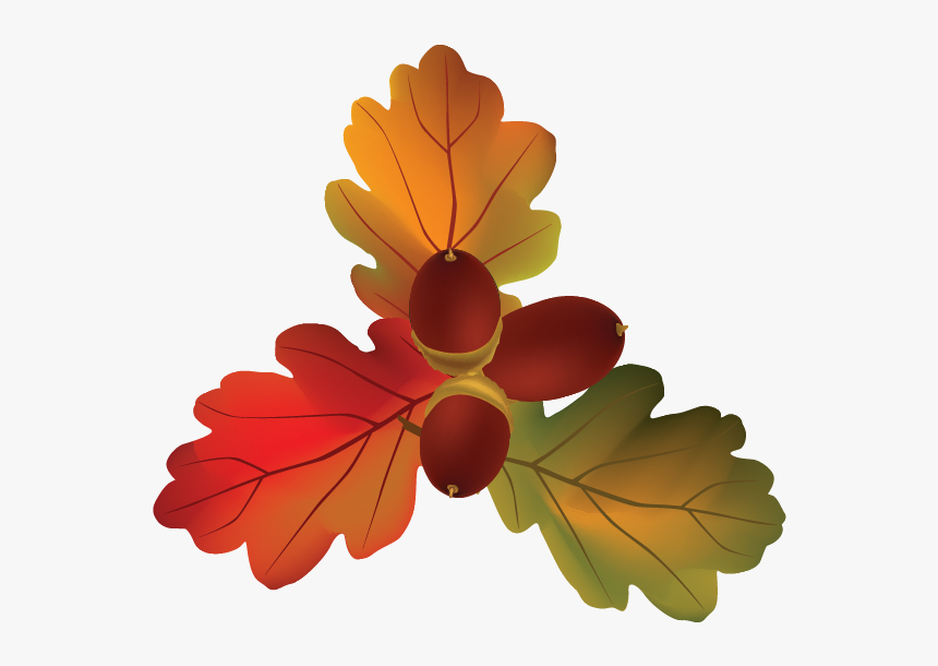 Autumn Leaves With Fruits Vector, HD Png Download