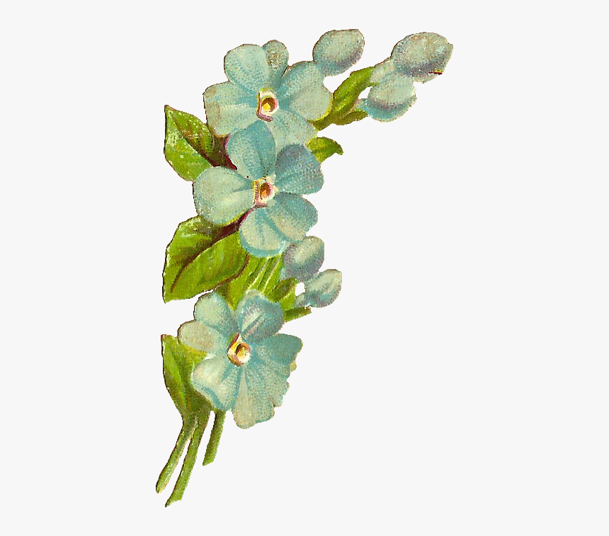 Antique Blue Flower Png, Transparent Png