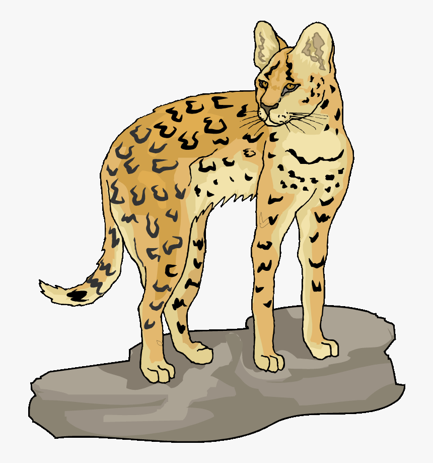 Lynx Clipart, HD Png Download
