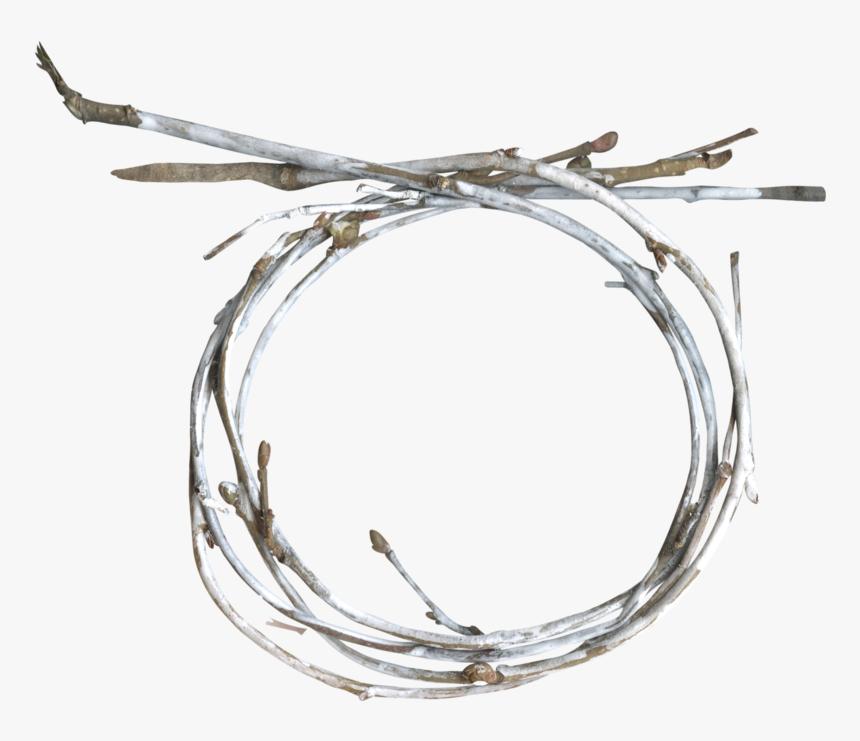 Circle, HD Png Download