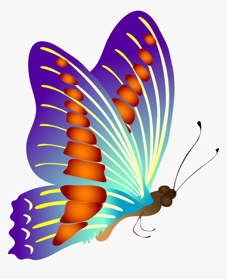 Butterfly Vector Png, Transparent Png