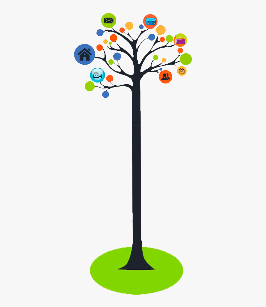 Tree, HD Png Download