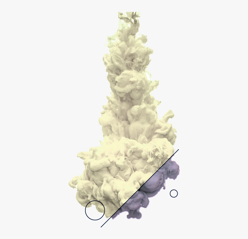 Christmas Tree, HD Png Download