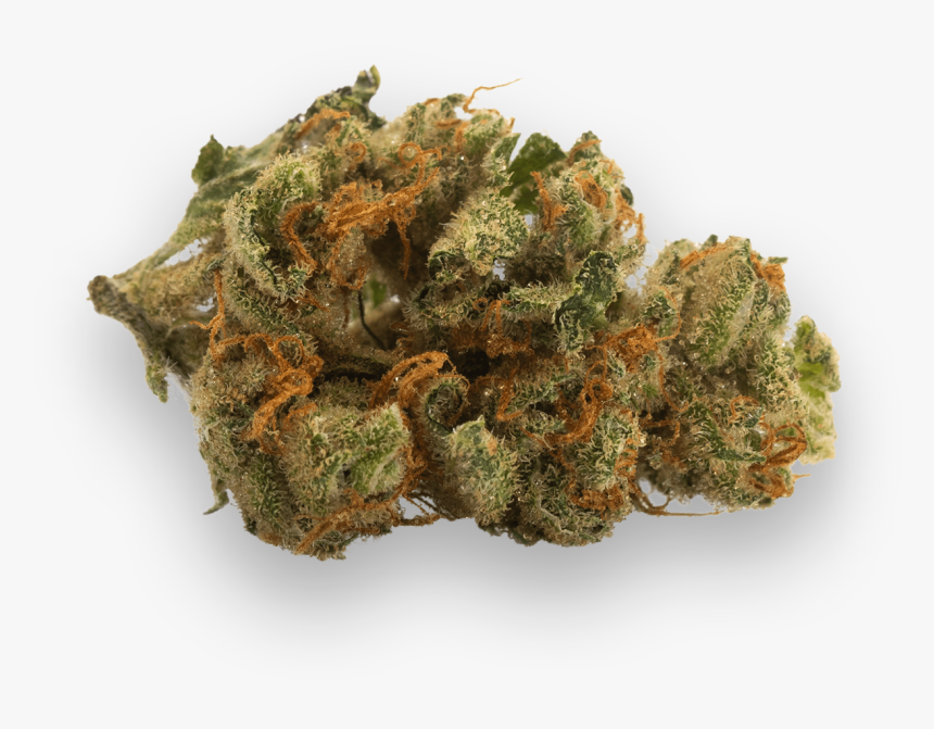 Moonbeam Lbs, HD Png Download