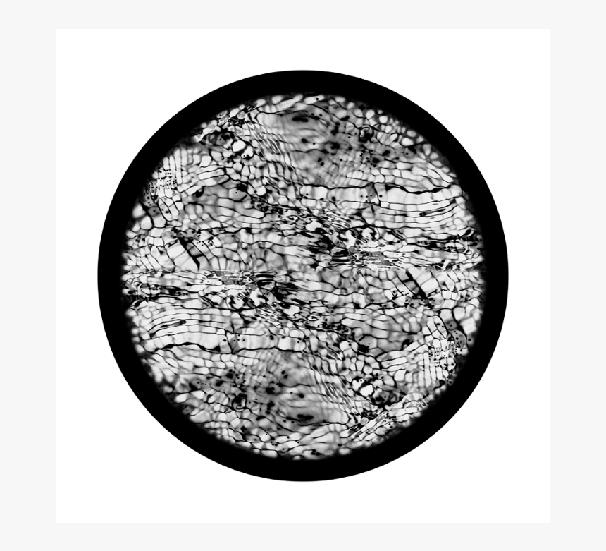 Apollo Superres Glass Gobo 0078 Snake Skin - Circle, HD Png Download