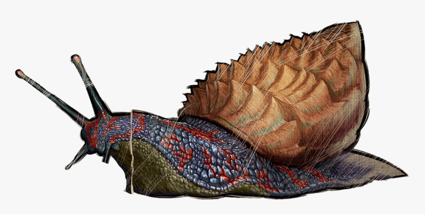 Achatina Ark, HD Png Download