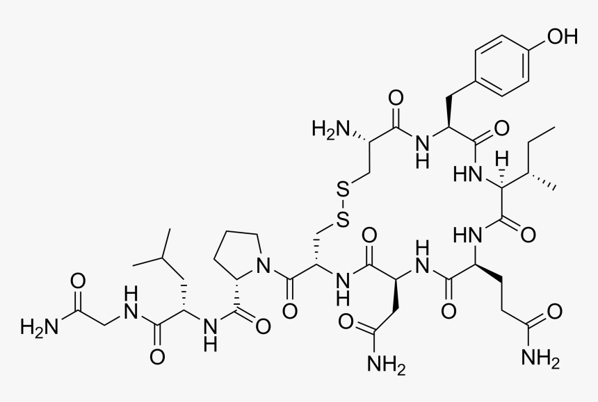 File - Oxytocin - Love Chemical Structure, HD Png Download