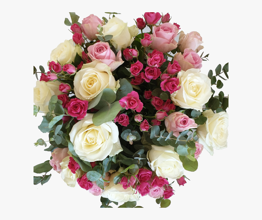 Garden Roses, HD Png Download