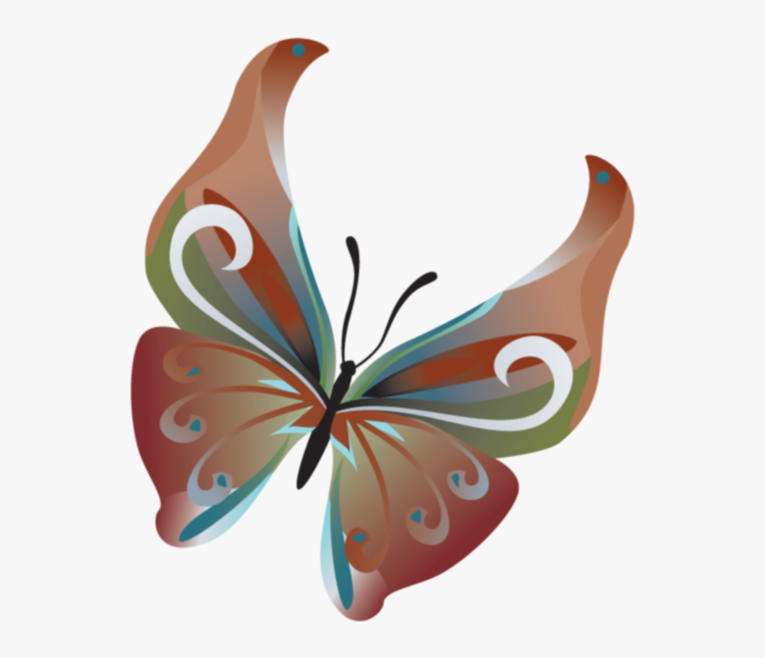Butterfly Vector, HD Png Download