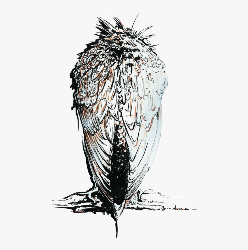 Sketch, HD Png Download