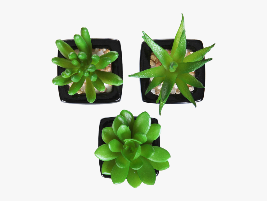 Flowerpot, HD Png Download