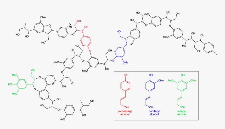 File - Lignin - Chemical Structure Of Pine Wood, HD Png Download