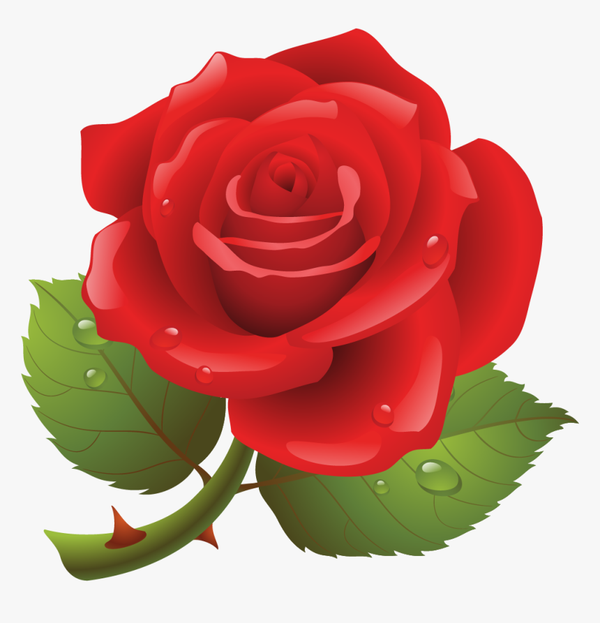Clipart Picture Of Rose, HD Png Download