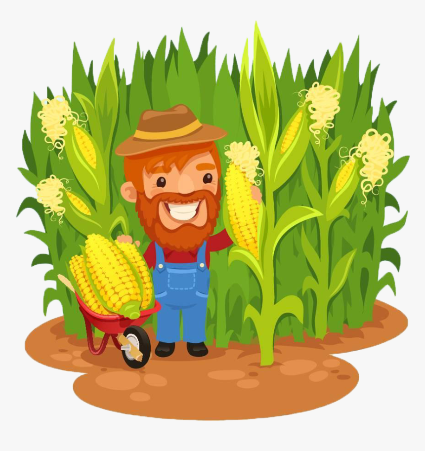 Png Library Stock Agriculture Clipart Corn Field - Farmer In Cornfield Clip Art, Transparent Png