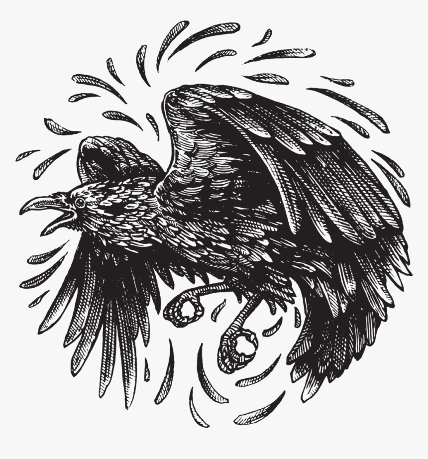 Redbubble-raven - Illustration, HD Png Download