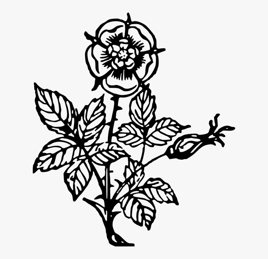 Art,symmetry,monochrome Photography - Illustration, HD Png Download