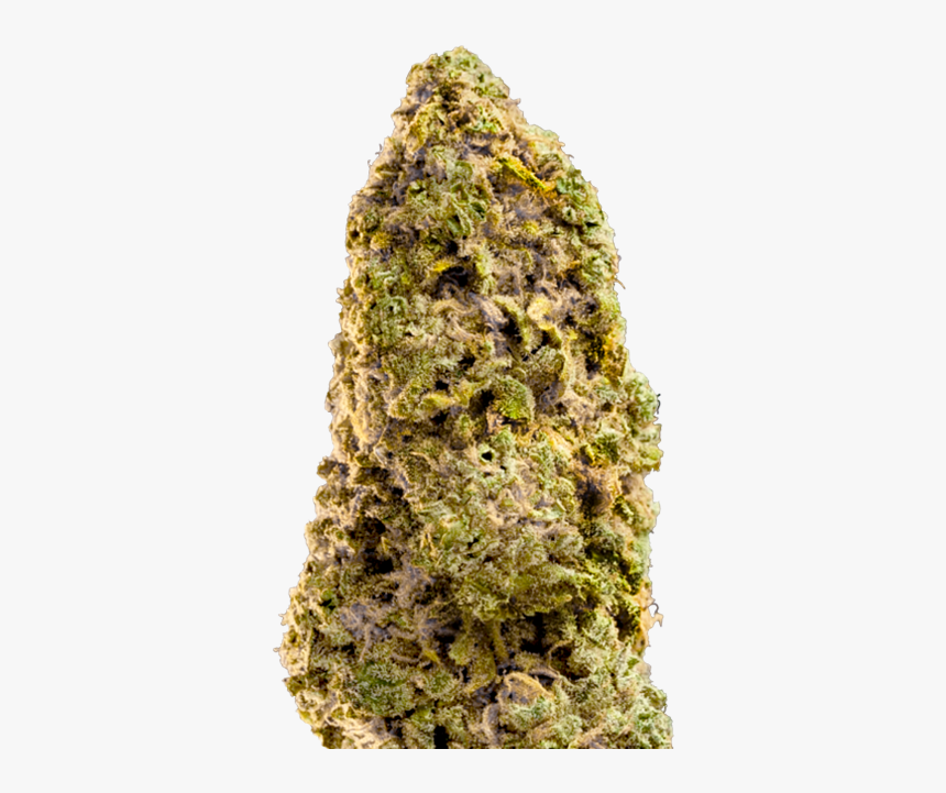 Buy Mega Buds Seeds Fast Master Fem - Fast Master Strain, HD Png Download