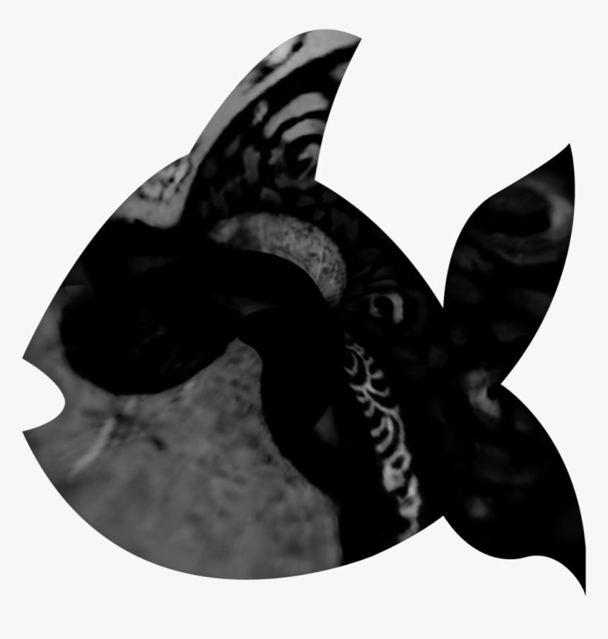 #remixed #fish #tinyplanet #freestickers@amzgirl501 - Fish, HD Png Download