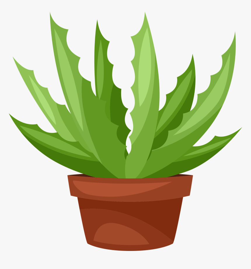 Cactus Clipart Png, Transparent Png
