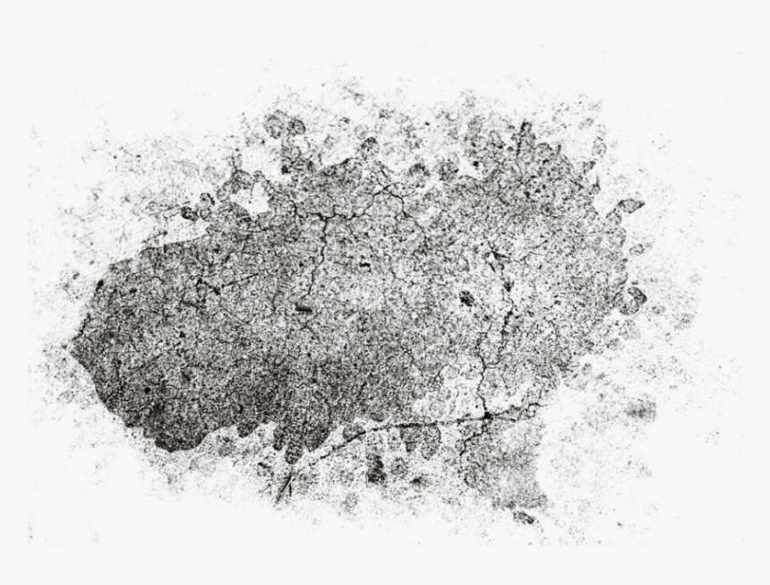 Eye Shadow, HD Png Download