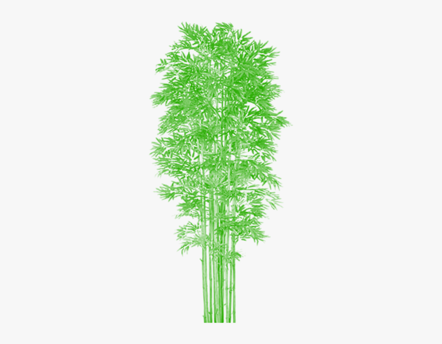 Bamboo Tree Clipart Clip Art Royalty Free Bamboo Tree - Vector Png Bamboo Tree Psd Plan, Transparent Png
