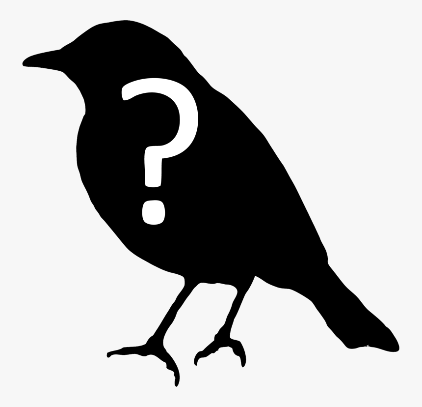 Bird Question, HD Png Download