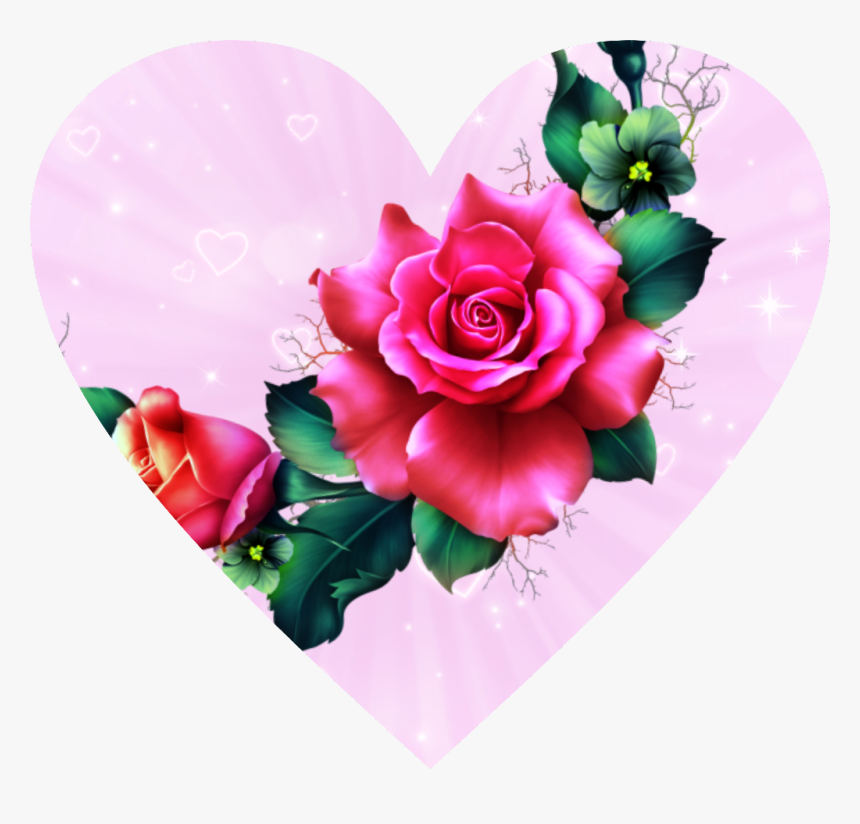 #heart #pink #flower #freetoedit - Hybrid Tea Rose, HD Png Download
