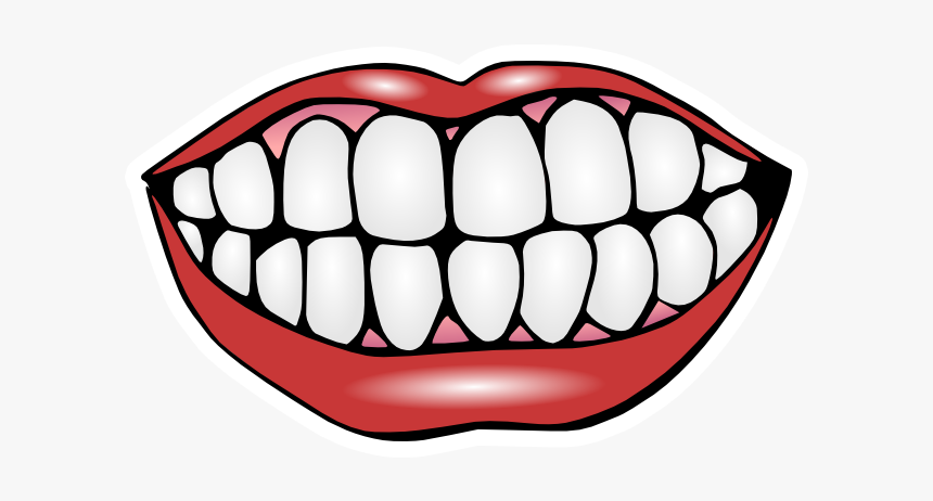 Teeth Clipart, HD Png Download