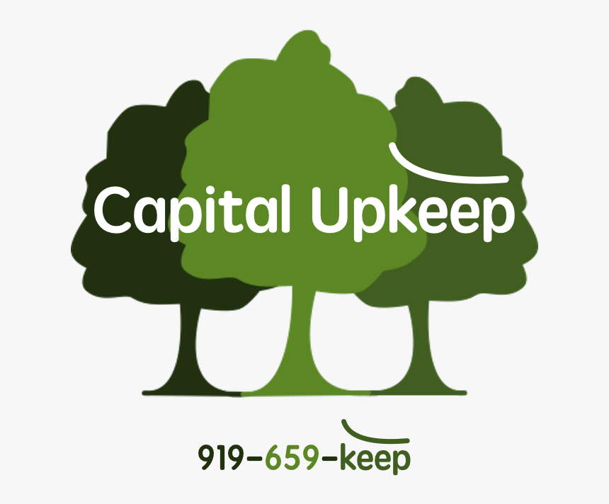 Graphic Design By Anna Lenkiewicz For Capital Upkeep, HD Png Download