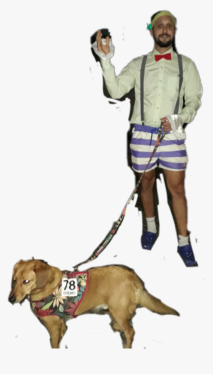 #nico - Police Dog, HD Png Download