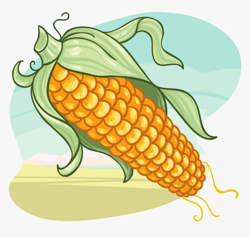 Transparent Corn Kernels Clipart, HD Png Download