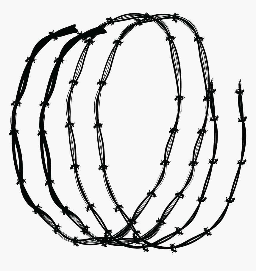 Killer Whale Drawing, HD Png Download