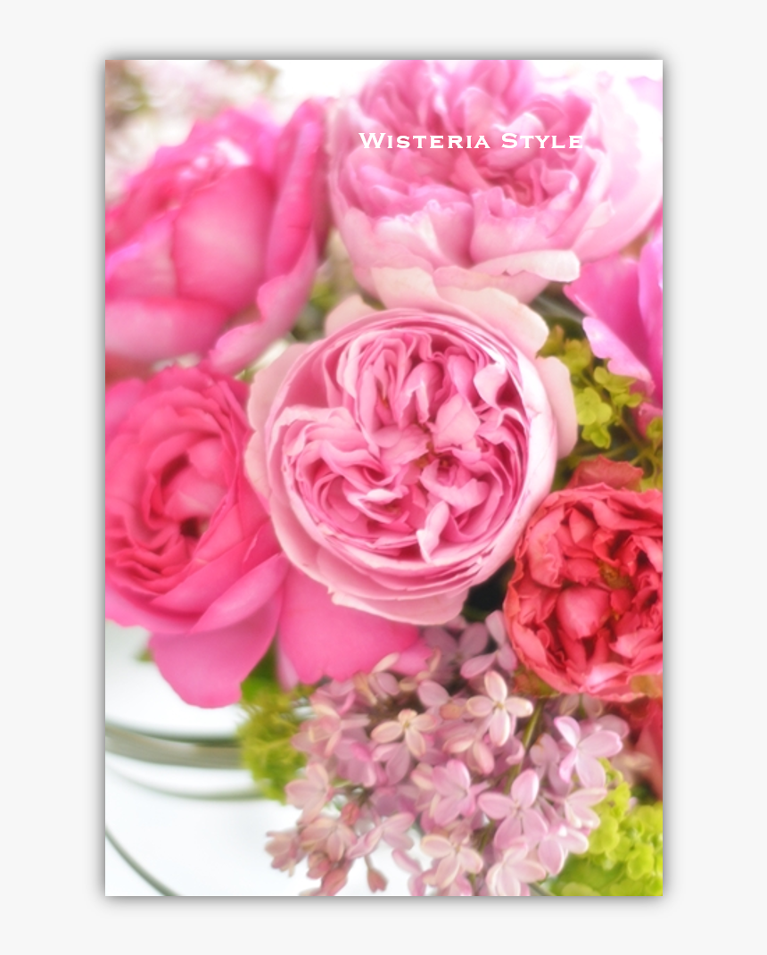 Garden Roses, HD Png Download