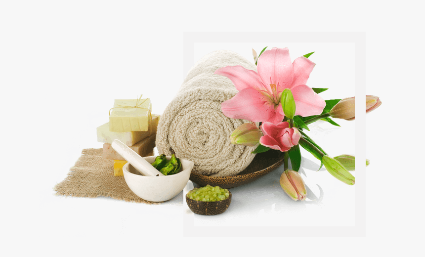 Image - Studio Studio Studio Studio Frizersko Kozmeticki, HD Png Download