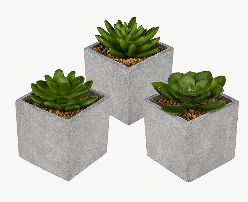 Flowerpot, HD Png Download