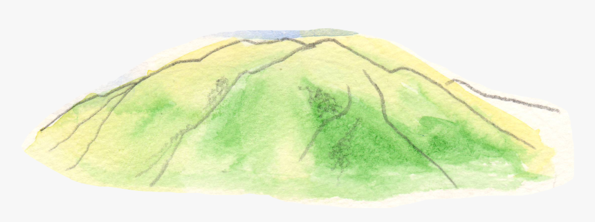 Grass, HD Png Download