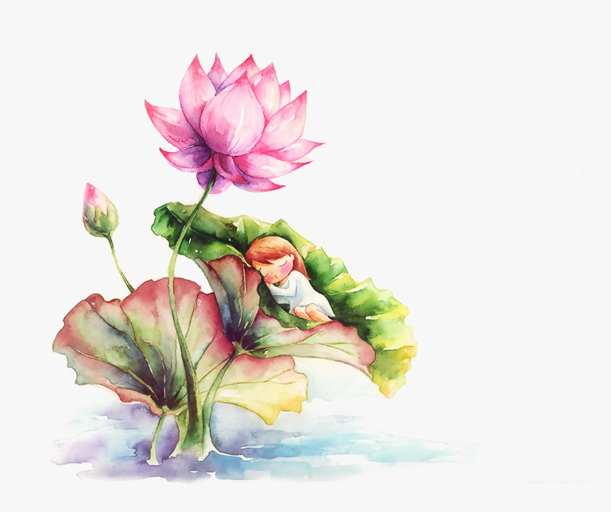 Lotus Paint Png, Transparent Png