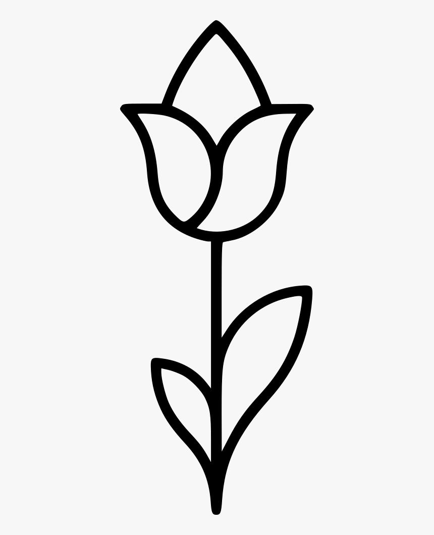 Flower, HD Png Download