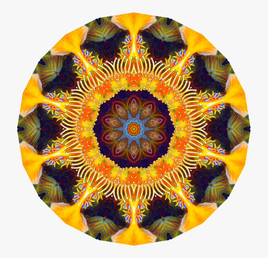 Art,sunflower,symmetry - Circle, HD Png Download