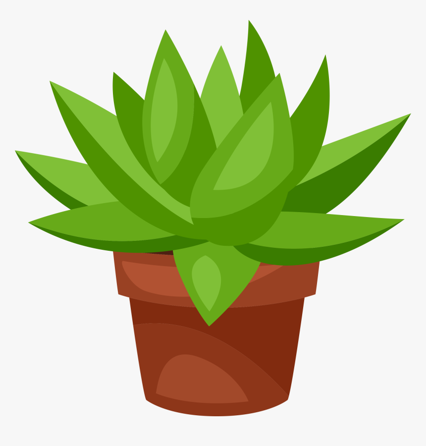 Cactus, HD Png Download
