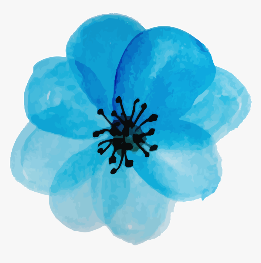 Corn Poppy, HD Png Download
