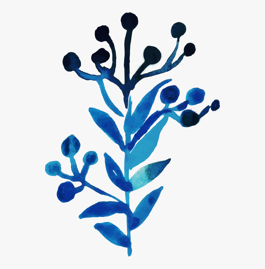 Floral Design, HD Png Download