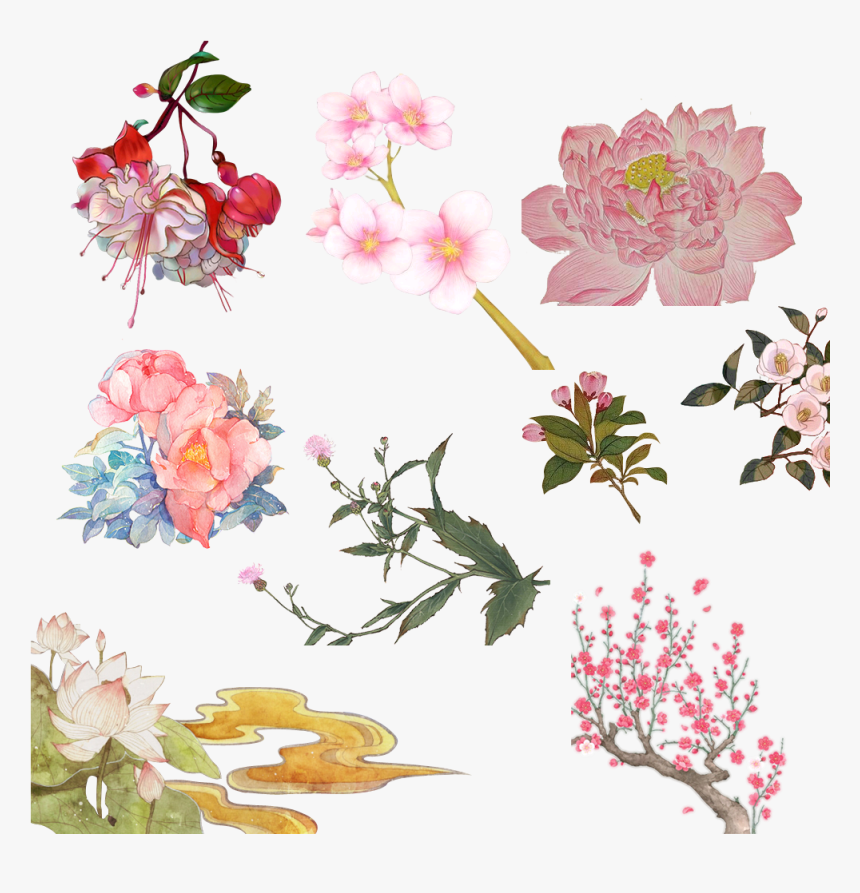 Garden Roses , Png Download - Prickly Rose, Transparent Png