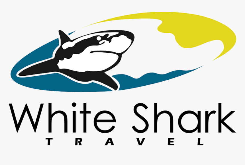 White Shark Travel - White Shark, HD Png Download