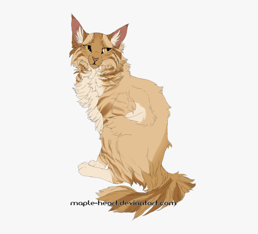 Tabby Cat, HD Png Download