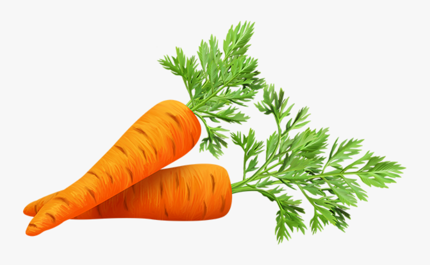 Tubes Fruits,tubes Legumes,clipart,png Fruit,psp,vector - Baby Carrot, Transparent Png