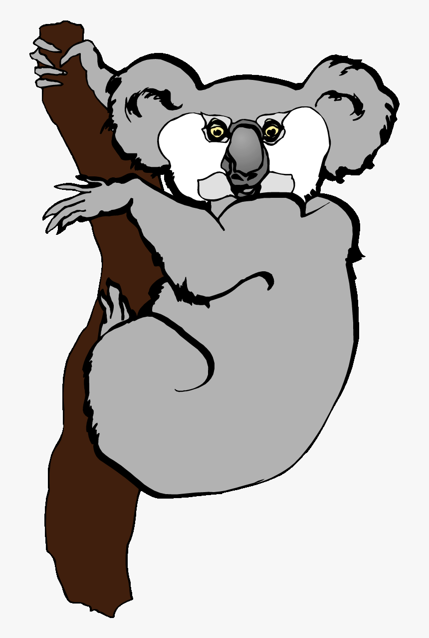 Black And White Stock At Getdrawings Com Free - Cartoon Cuddly Koala, HD Png Download